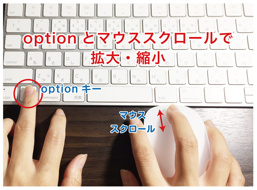 option、マウススクロールで拡大縮小 option、マウススクロールで拡大縮小